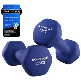 Songmics Kurzhanteln 2er Set 2,5 kg blau rutschfest