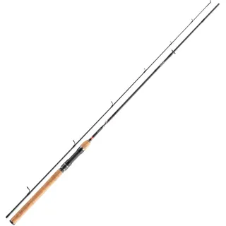 Daiwa Spinnrute Ninja X 2,10 m 10-30 g