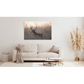 queence Acrylglasbild »Emino« Hirsch   Hirschbilder   Kunst   Landschaft   Spa   Spa Bilder   Tiere   Wiesen & Baumbilder   Wildtiere 1 Stk. tlg. Fine Art-Print in Galeriequalität, beige