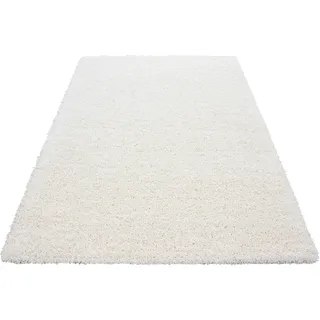 Dream Shaggyteppich 80 x 150 cm beige