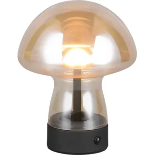 Reality Leuchten Tischleuchte DOOLEY amber DH 14x18 cm orange Tischlampe - Schwarz