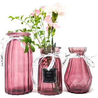 SOMEDA® Vasen Set 3 Stück/Verschiedene Größen und Formen/Moderne Blumenvasen/transparent, rot oder grau/Deko Wohnzimmertisch (3X Rot)