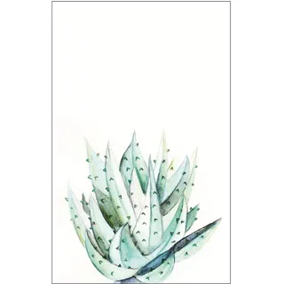 KOMAR Wandbild Aloe Watercolor 50 x 70 cm