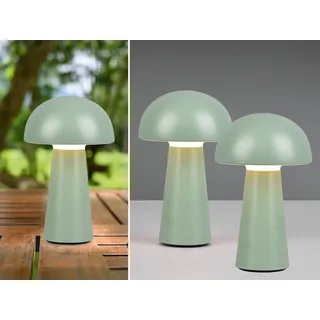 Dimmbare LED OUTDOOR Tischleuchte 21cm 2er SET Akku USB Anschluß in Grün - Grün