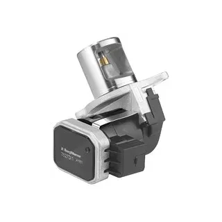 BorgWarner (Wahler) Borgwarner WAHLER AGR-Ventil elektrisch, mit Dichtung