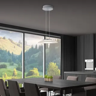 Hell Findus Alu, Eisen, Stahl & Metall Silber Nickel matt / Chrom