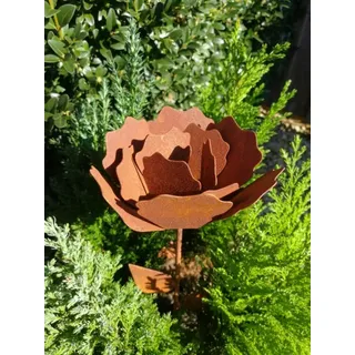 Edelrost Rose klein, zum Stecken - Braun