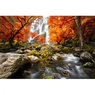 Papermoon "WASSERFALL-HERBST BÄUME WALD NATUR LANDSCHAFT DSCHUNGEL", bunt,