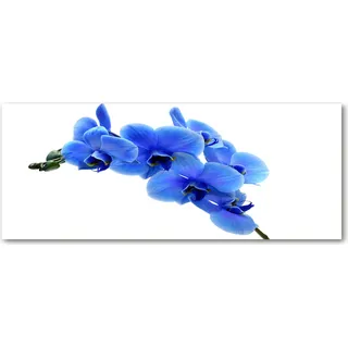 Tulup® Küchenrückwand Spritzschutz aus Glas -125x50 -Spritzschutz auf gehärtetes Glas Deko Blumen Pflanzen Blaue Orchidee