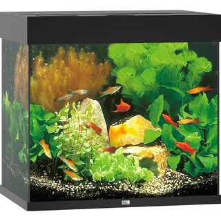 Juwel Lido 120 Aquarium LED Aquarium-Set schwarz