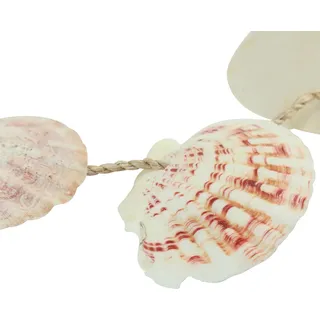 Dekohänger Muscheln Maritim Seegras für Wanddeko und Balkon