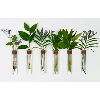 TWILG - Reagenzgläser für Blumen mit cognackfarbenem Leder und Wandmagnet - 6er Set - Blumenvase, Magnet vase, Reagenzgläser mit Ständer, Reagenzglas vase Wand, Magnetische vase