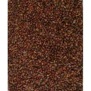 Traubenkerne 2 KG lose für Wärmekissen Traubenkernkissen Kissen Kältekissen Füllung Körnerkissen Kerne Körnerkissen Füllmaterial Traubenkernsäckchen Fußmassage Handmassage Ergotherapie Physiotherapie