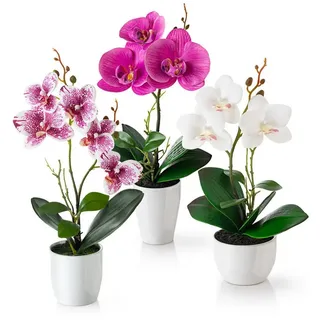 Pasch PASCH® Kunstblumen im Topf (35cm) - 3er Set Orchideen künstlich abgestimmtes Arrangement in Hochglanz-Keramiktöpfen, Deko Blumen künstlich, künstliche Orchideen (Weiß-Rosé)