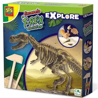 Opgravingset SES Trex opgraven (25028)