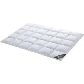 SPESSARTTRAUM Wildenten-Daunendecke 155x220cm