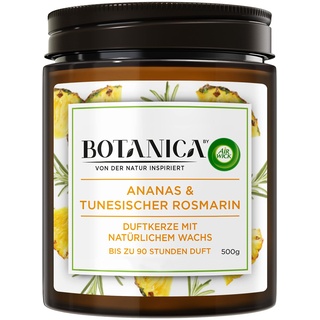 Botanica by Air Wick Duftkerze – Duft: Ananas & Rosmarin – Nachhaltig hergestellt mit natürlichen Inhaltsstoffen – 500 g Kerze im Glas, 3185468, rosa-Tiger