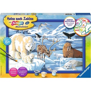 Ravensburger Malen nach Zahlen-Tiere der Arktis