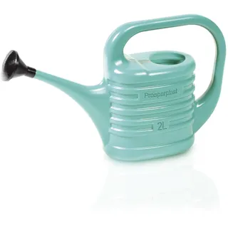 PECZEKO Gießkanne 2L, Gartengießkanne aus Kunststoff für Innen- und Außenbereich, Bewässerung, Blumen, Zimmerpflanzen, Garten, Haus, Wohnung, Gartengeräte mit Brause - 2L