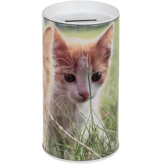 Spardose für Kinder, Welpen, Hunde und Katzen, Originelle Spardose aus Dose mit Deckel, günstige Spardose für Kinder, die auch als Stiftdose verwendet werden kann (weißes Kätzchen)