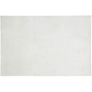 Eurofirany Dekorativer Teppich Fußmatte Teppichläufer Läufer Badeteppich Badvorleger Wohnzimmer Schlafzimmer Küche Rechteckig Fellimitat Weich, Silber, 50x70cm