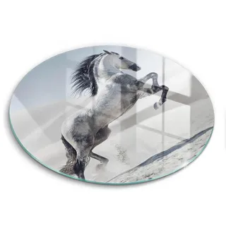 Wallfluent Glasplatte Ø 40 cm Weißes Rumänisches Pferd , Greige , Glas , Rund , 40x40 cm , Küchenzubehör, Schneidebretter
