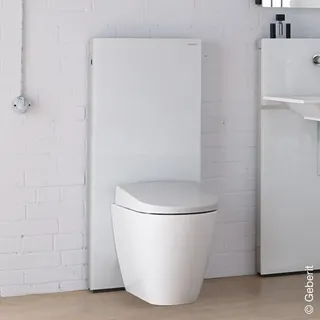 Geberit Monolith Sanitärmodul für Stand-WC, 114 cm, mit P-Anschlussbogen, Wasseranschluss hinten mittig,