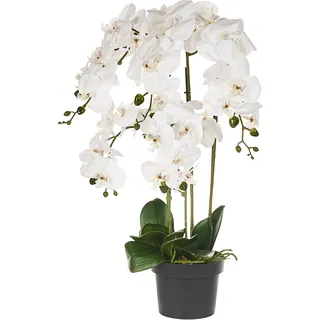 Beliani Kunstpflanze im Blumentopf 65 cm Weiß Orchid