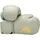 aluminia/Gold 16oz