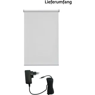 SUNLINES Elektrisches Rollo »New York« Lichtschutz Sichtschutz mit Bohren freihängend appgesteuert via Bluetooth, mit Motor und Akku, weißer Fallstab,