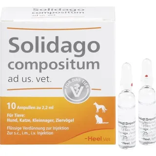 Heel Solidago compositum vet. Ampullen 10 St.