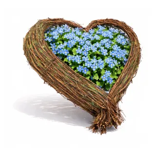 com-four® Weidenkörbchen in Herzform - innen folierter Pflanzkorb - dekorative Pflanzschale - ideal zum Bepflanzen oder als Dekor-Übertopf (1 Stück 38x40cm grün)