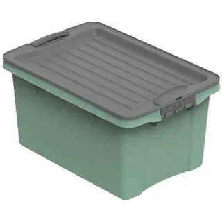 Rotho Stapelbox Compact A5 4,5 l Grün