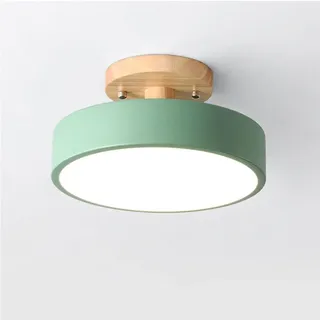 TONGNIDA 18 cm Durchmesser moderne dimmbare Deckenleuchte 12 W Creative LED Light für Veranda Schlafzimmer (Grün)