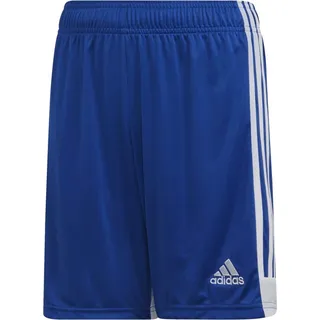 Hosen Adidas Tastigo 19 DP3686 - Blau