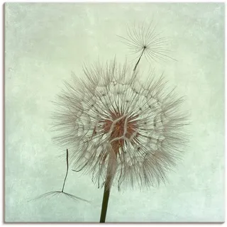 Artland Leinwandbild "Pusteblume II" Blumen 1 Stk. tlg. auf Holzrahmen gespannt, farbe bild(er): grau