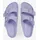 Arizona Eva Purple Fog 40