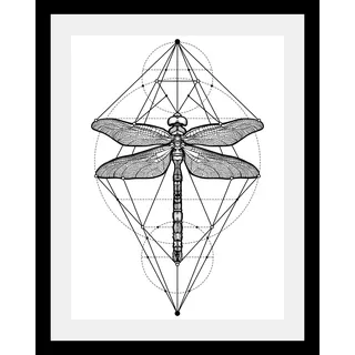 Bild QUEENCE "Libelle", schwarz (farbe rahmen: schwarz, farbe bild(er): schwarz), B:40cm H:50cm T:3cm, Acrylglas, Holz, Papier, Bilder, Bild, HD Premium Poster-Druck inkl. Holzrahmen
