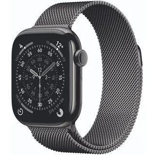 Watch Series 11 GPS + Cellular 42mm Slate Titanium Milanese Loop slate S/M