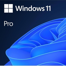 Bild Windows 11 Pro EN