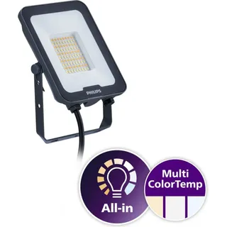 Philips Außenstrahler Aluminium 50 W inkl. Bewegungsmelder grau