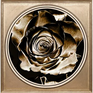 queence Acrylglasbild »Rose«, Blumen-Blumenbilder-Kunst-Pflanzen-Pflanzenbilder-Gemälde, Fine Art-Print in Galeriequalität, grün