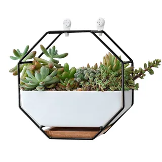 VanEnjoy Weiße Keramik-Wand-Pflanzgefäße, Vase und Kupfer, Ablaufloch mit Bambus-Tablett, für Sukkulenten, Luftpflanzen, Mini-Kaktus, künstliche Blumen, sechseckig, Wanddekoration (schwarzes Metall)
