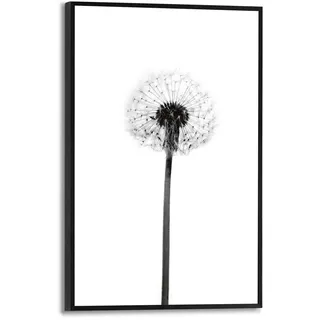 Reinders! Poster »Pusteblume«, schwarz