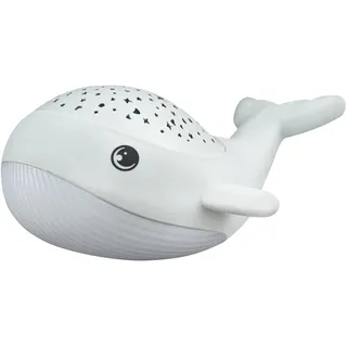 MegaLight Willy Whale