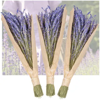 Lavendel getrocknet im Bund - Bio Trockenblumen 40-50cm, duftenden Lavendelblüten Deko Blumen Strauß oder Trockenblumen Kranz etwa 250 Stängel getrockneter Lavendel (3)