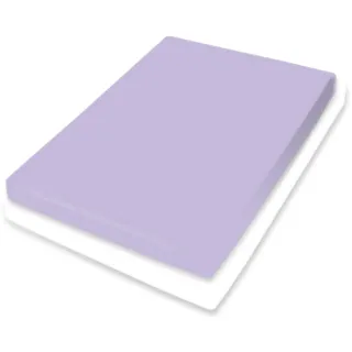 BASSETTI Spannbettlaken Baumwolle-Jersey 180 x 200 - 200 x 220 cm Classic Lavender