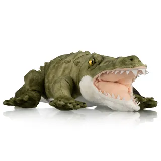 Krokodil - Grün