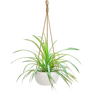 BELLE VOUS Hängetopf für Pflanzen aus Keramik Weiß für Innen/Außen – Blumentopf Hängend 69cm – Blumentopf Keramik Hängepflanzen Topf Blumentöpfe zum Aufhängen mit Seil als Deko im Garten & Wand Deko