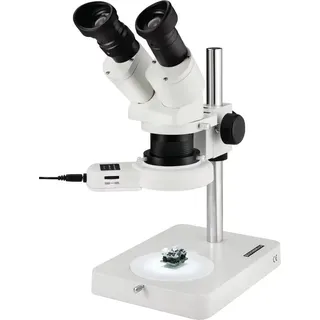 Eschenbach 33213